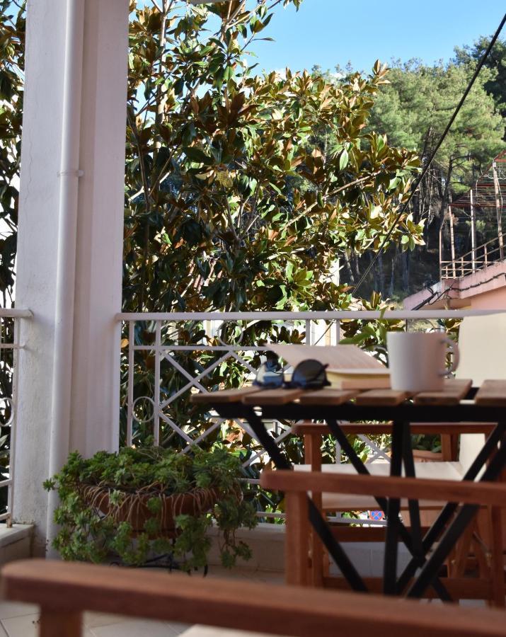 Magnolia House In Ioannina Apartment Bagian luar foto